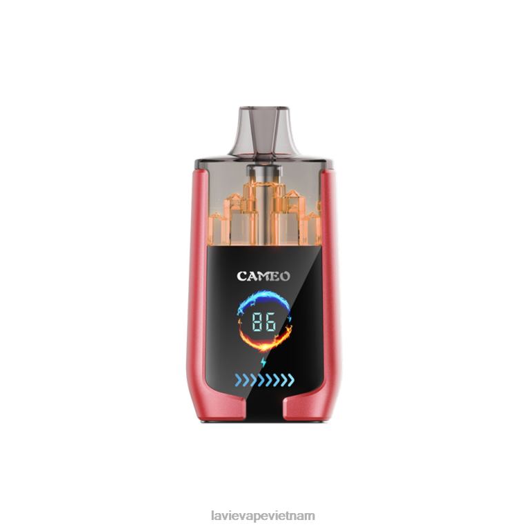 đá dưa hấu LAVIE CAMEO 30000 hơi thở 2DL8414 | Lavie Vape Review